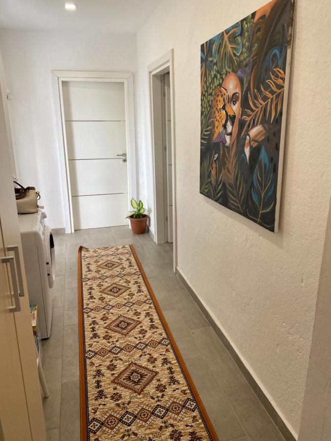 Maison Bellevue - 2 Bdrm Villa In Borsh Beach Екстер'єр фото
